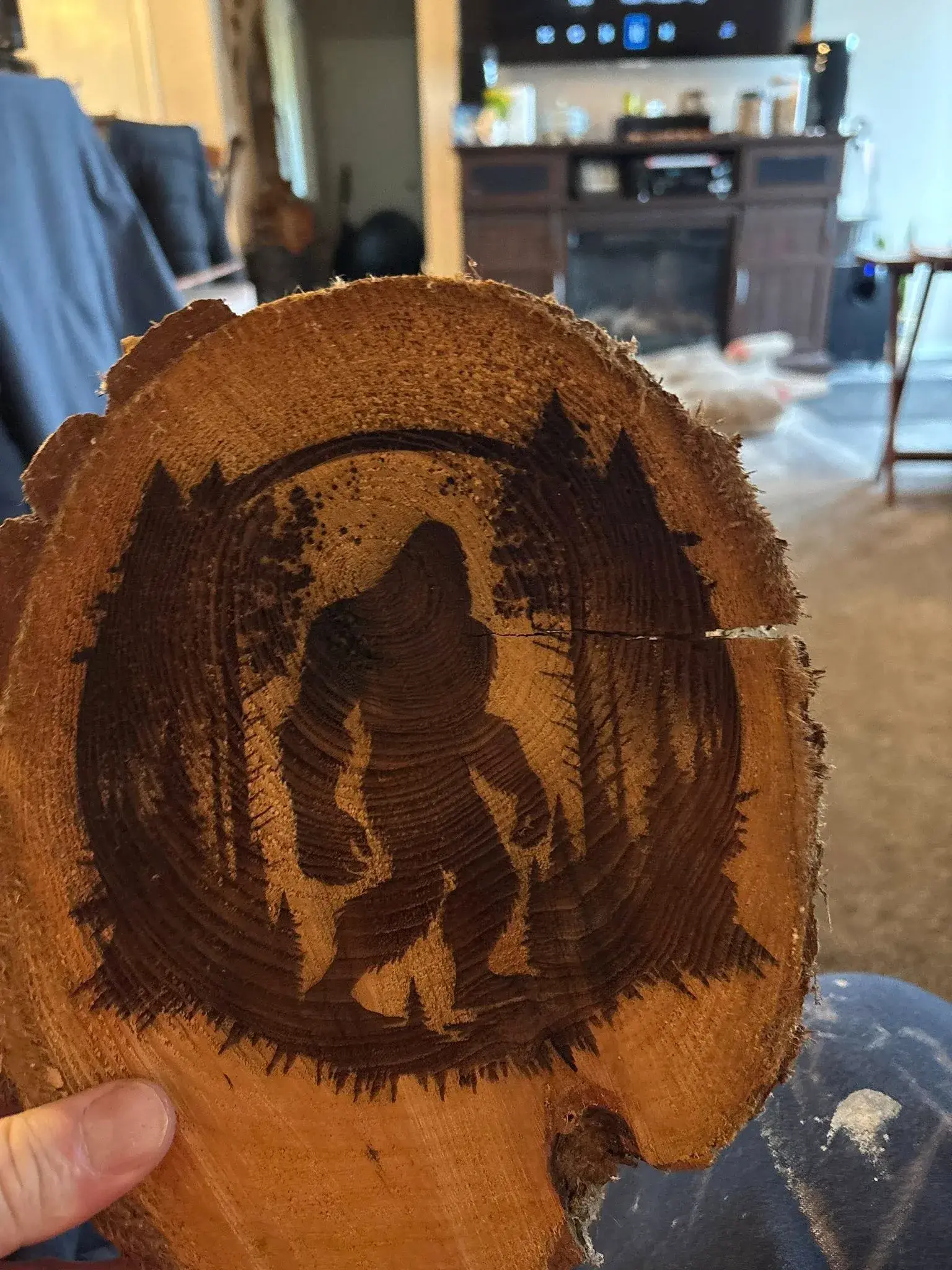 494067707_122114982572828625_753242451650272350_n